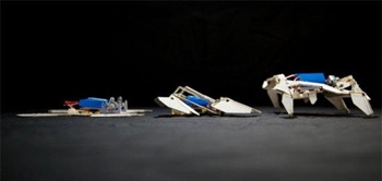 Robot Origami